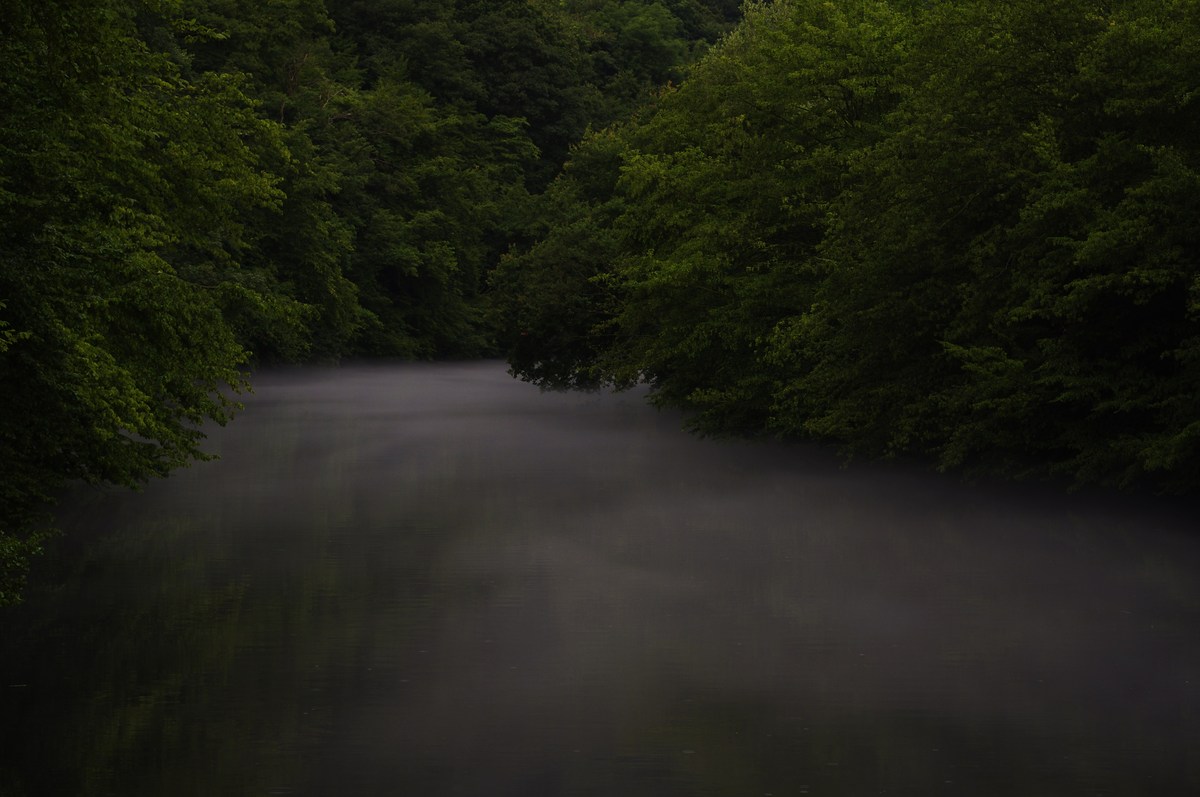 Nebel