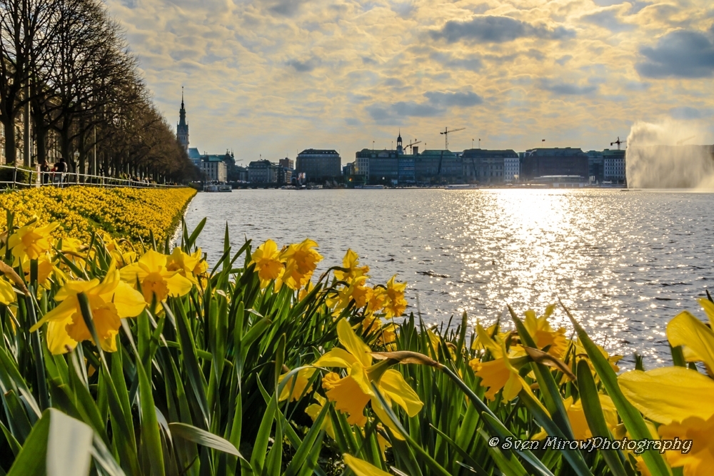 Binnenalster in Hamburg