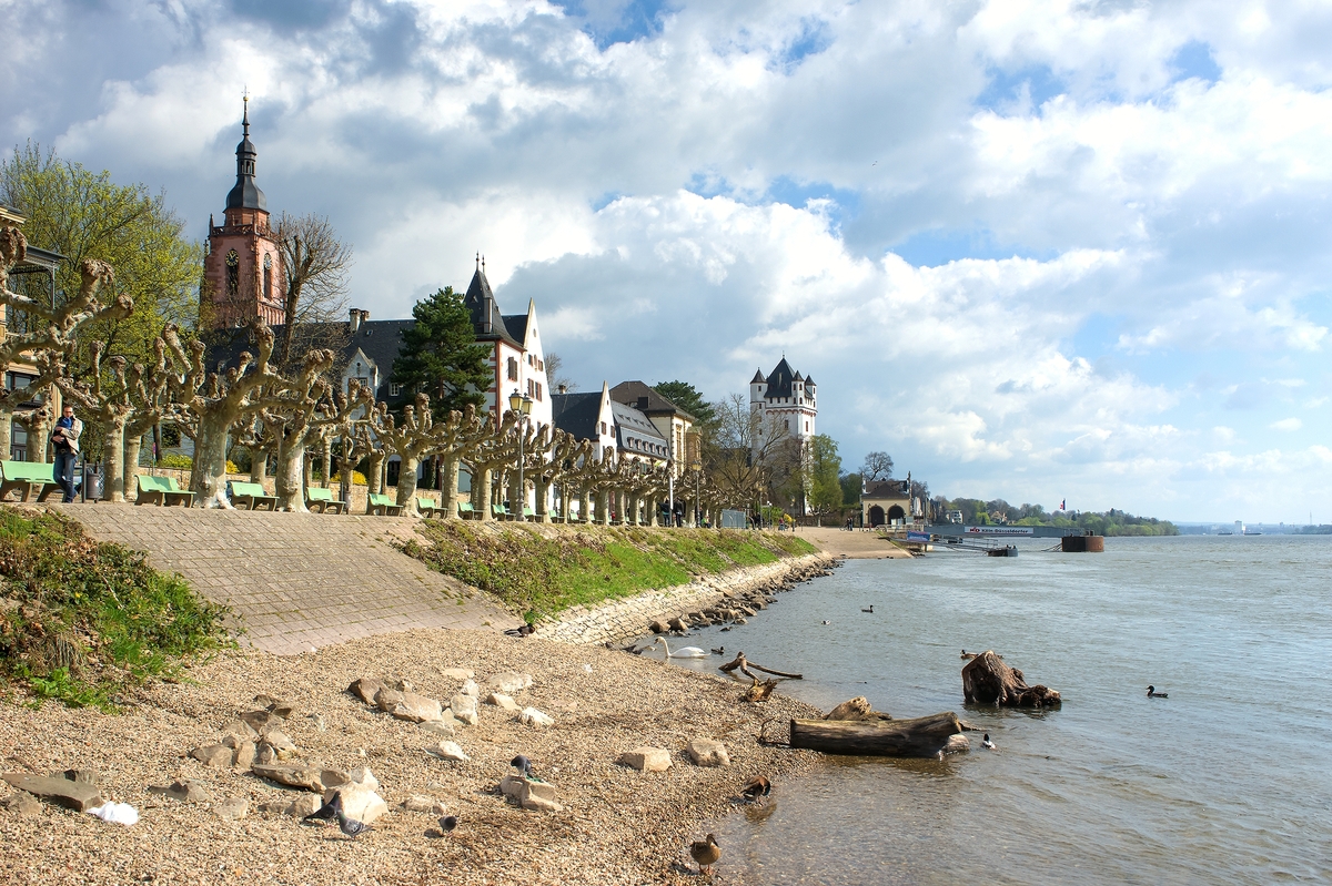Eltville - Rheinuferpromenade - 6. April 2016