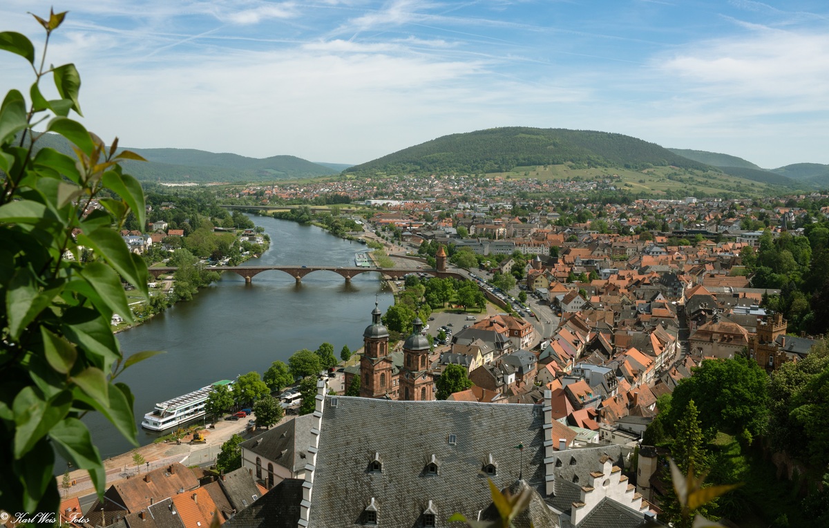Blick von der Mildenburg ....