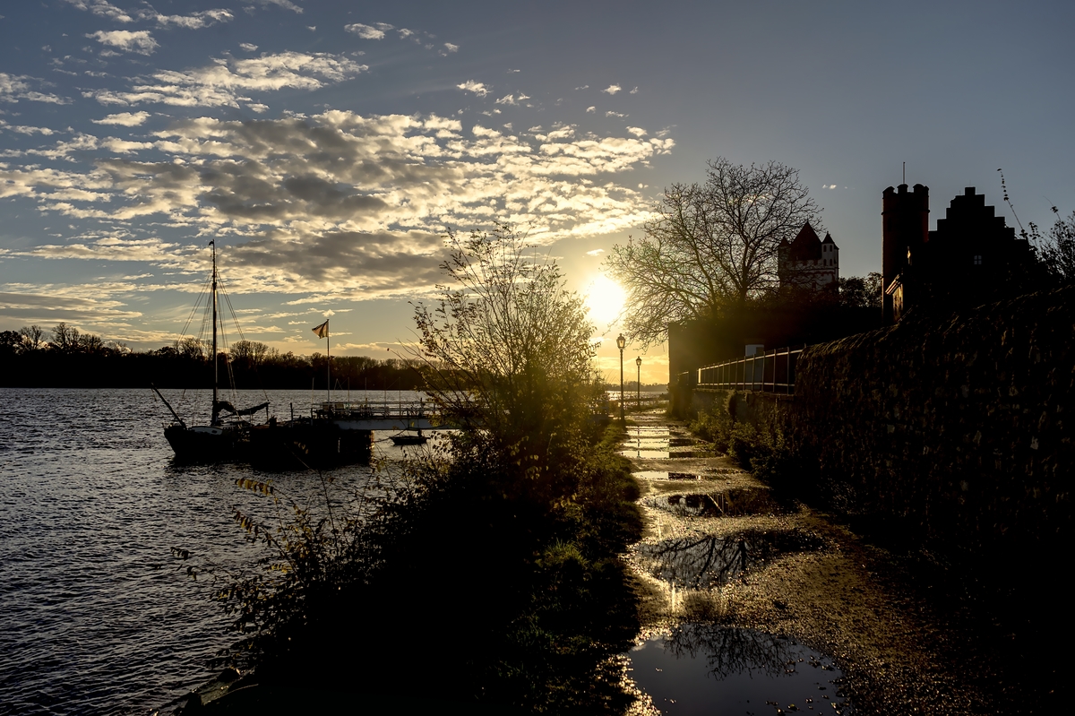 Auf dem Leinpfad am Eltviller Rheinufer