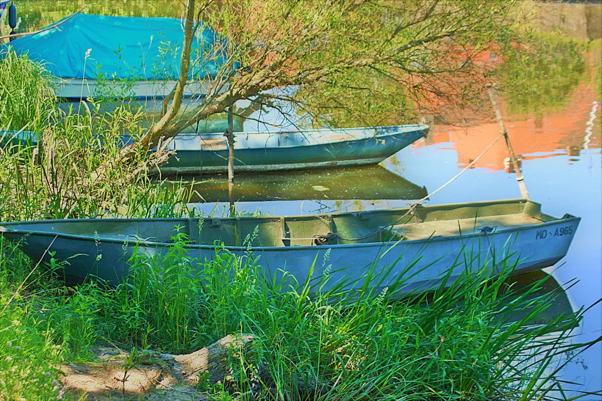 Flußlandschaft im Bundesland Brandenburg