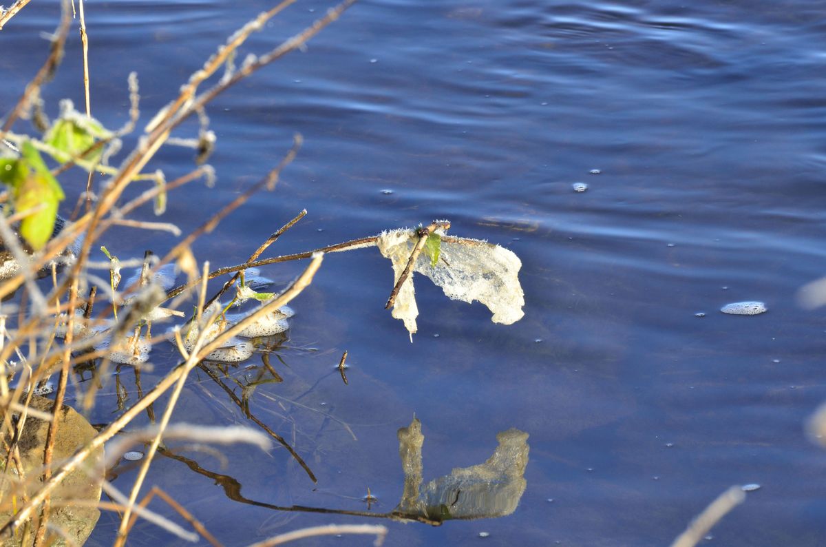Die Ruhr bei Hattingen-3
