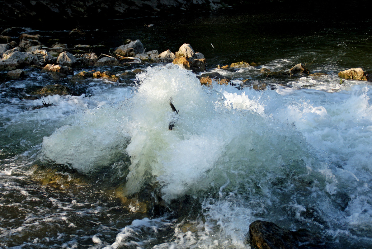 die Amper bei Dachau