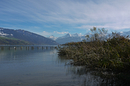 Herbst am Thunersee