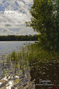 Der Tuvesjön (Südschweden)