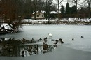 Bad Friedrichshall -Schachtsee-