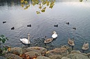Am See