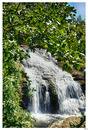 Schaffhausen / Rheinfall_15
