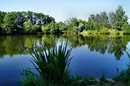 Romantischer Fischteich