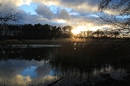 Teich bei Commerau