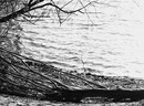 See bei Graefenthal