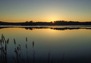 Wasser als Spiegelelement