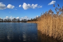 Fischteich bei Guttau  ( Oberlausitz )
