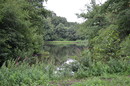 Testbild