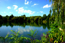 Fotos_Seen & Teiche