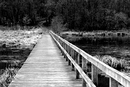 Der lange Weg