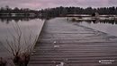 Der Steg am See