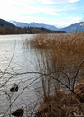Am Tegernsee!