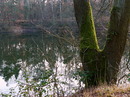 am grünen See