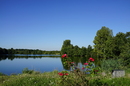 Sommer am See III