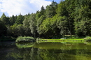 Stille am Waldsee