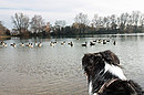 Fotos_Seen & Teiche