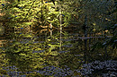 Fotos_Seen & Teiche