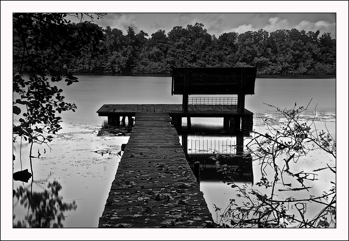 Naturschutz Seeteich in Menden-Schwitten