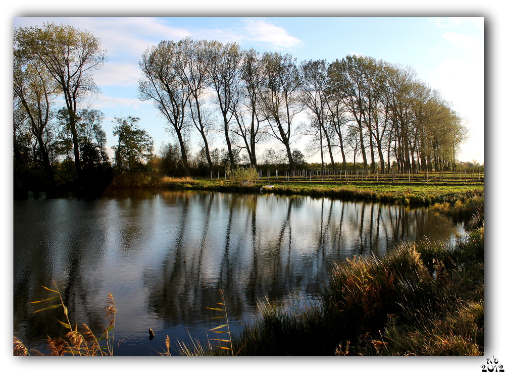 Die Baggerkuhle............