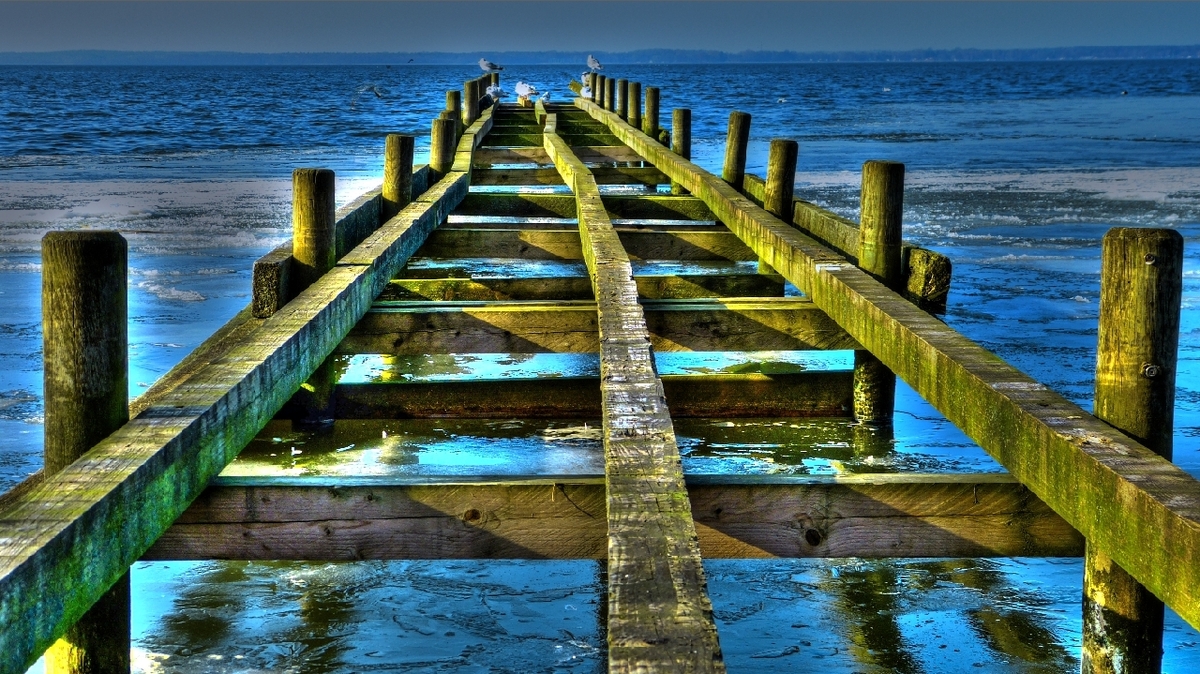 Usertreffen Insektenmuseum & Schmetterlingsfarm Steinhude