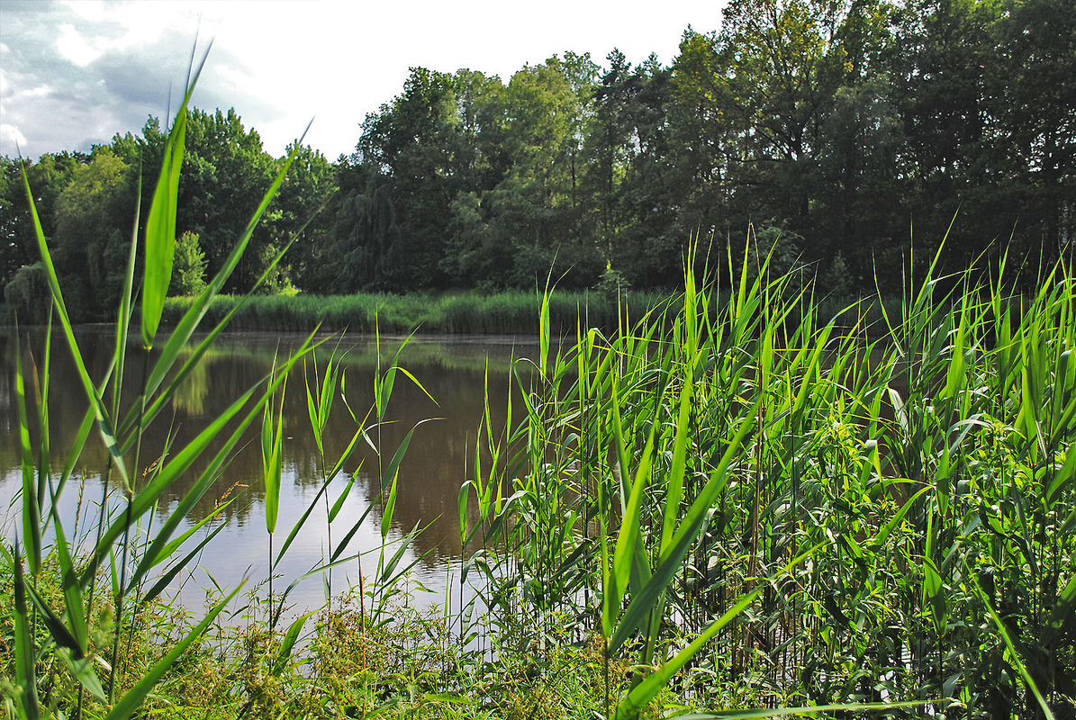 Sommertraum