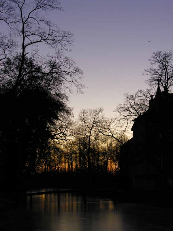Morgenlicht am Teich 