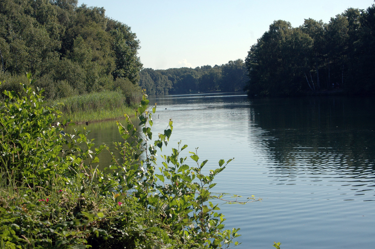 Venekotensee