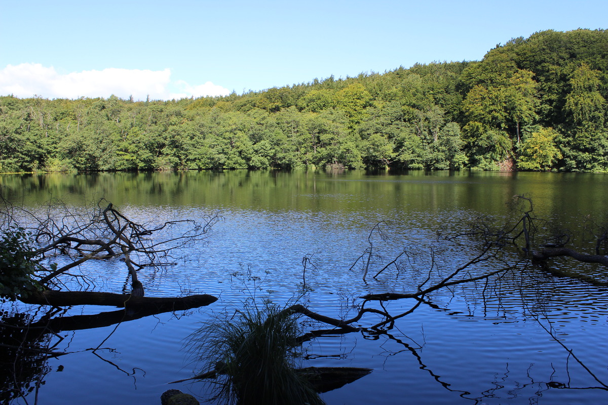 waldsee