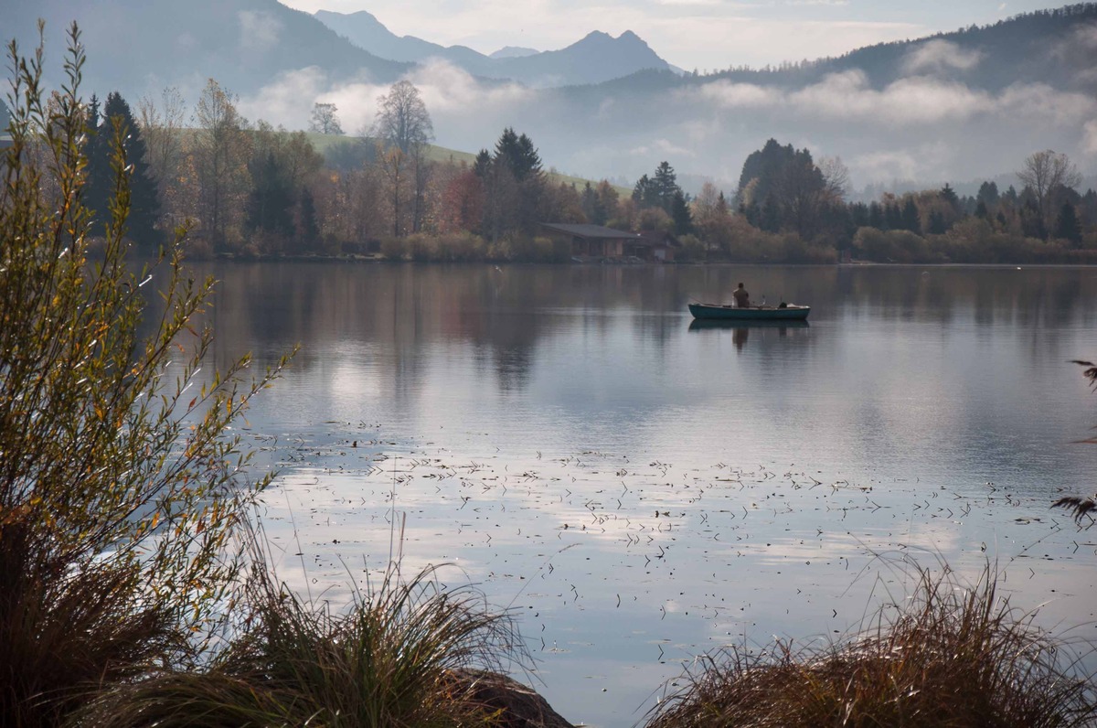 Hopfensee im Morgennebel