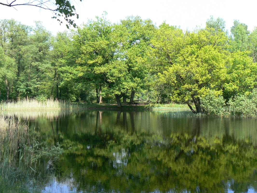 brisenhafte Spiegelung