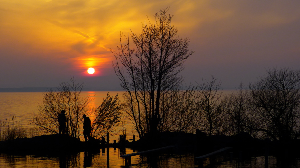 Auch andere lieben die Abendsonne