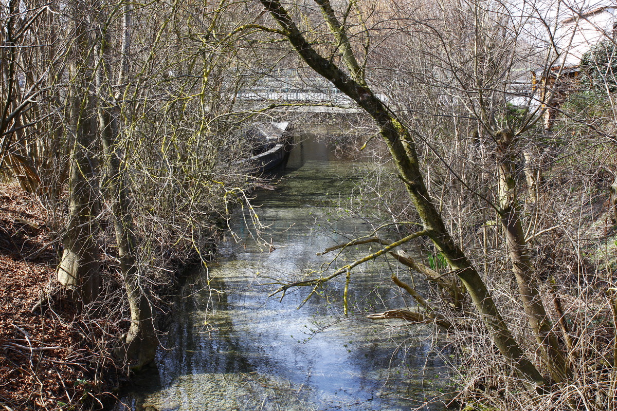 der Frühling kommt