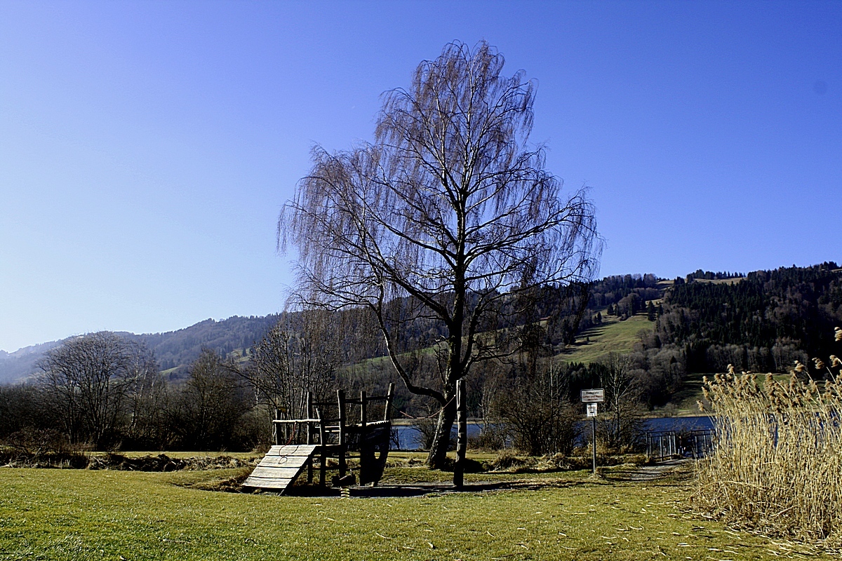 Am Alpsee