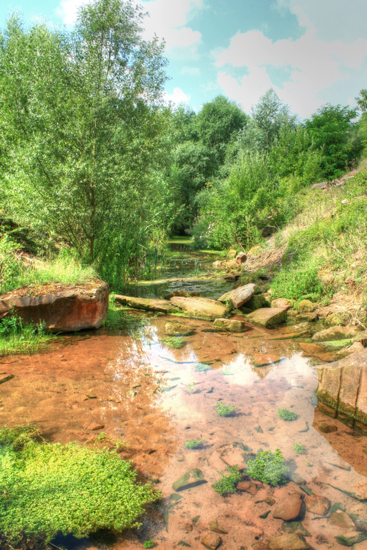 Biotop im Steinbruch