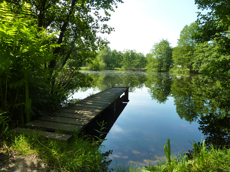 Lieblingsplatz im Sommer