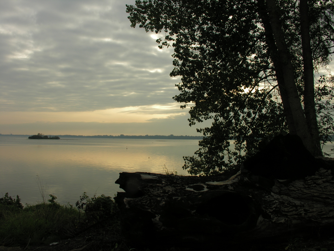 Morgenstille am See