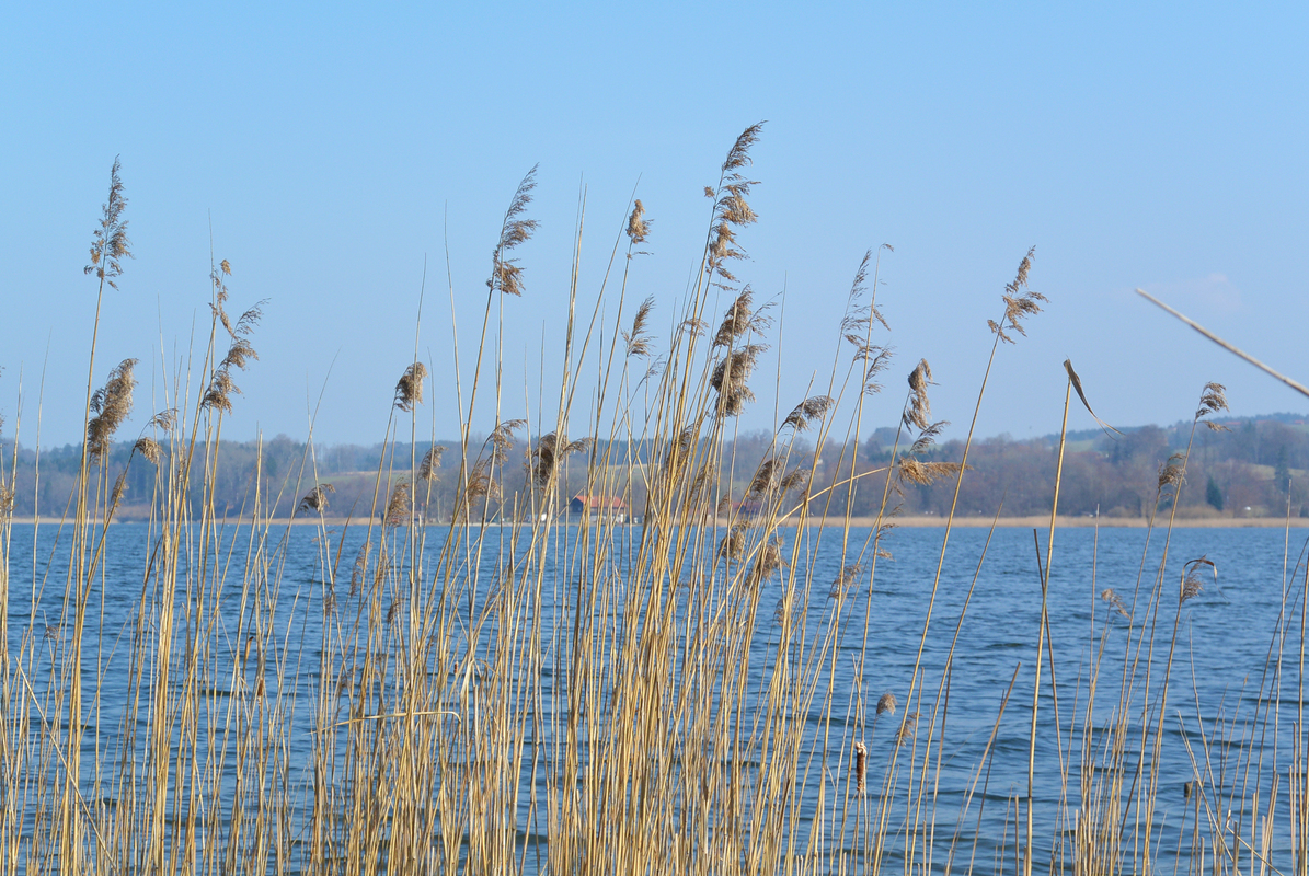Ausflug an den Simssee