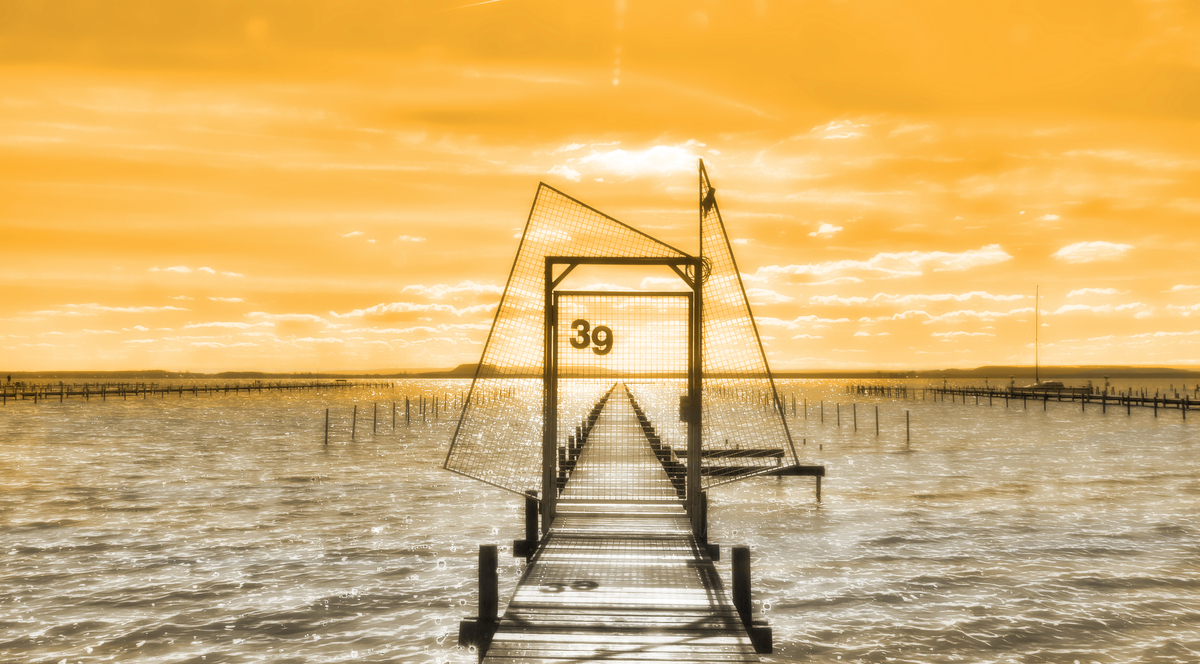 Der Steg mit der Nr. 39 in der Abendsonne