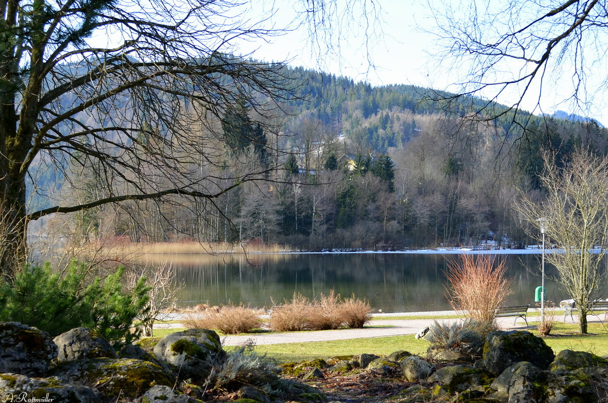 Am Schliersee März 2015!