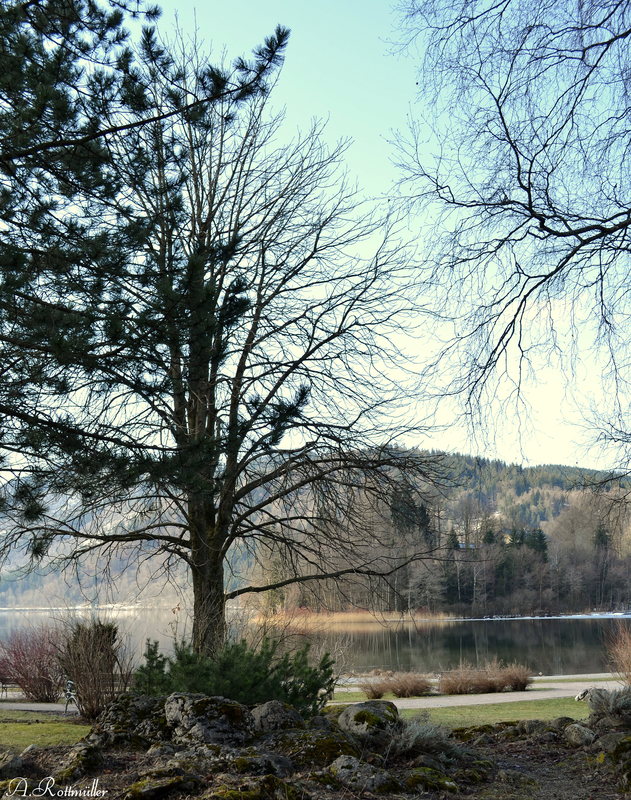 Am Schliersee März 2015!