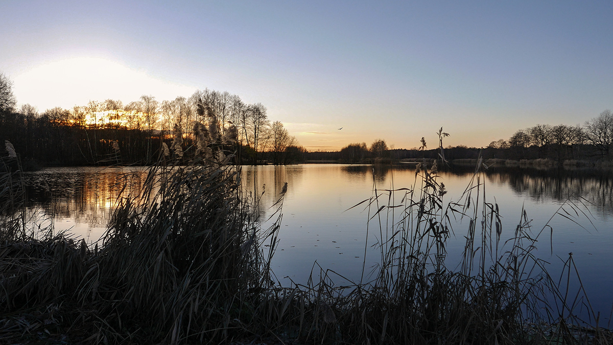 (Abend)Romantik am Teich