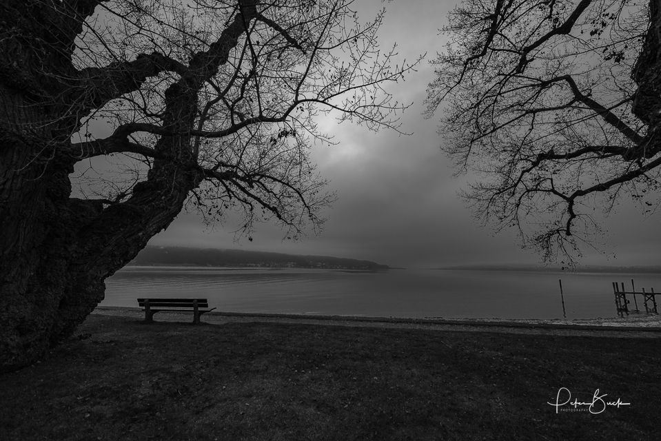 Dezembertag am Bodensee