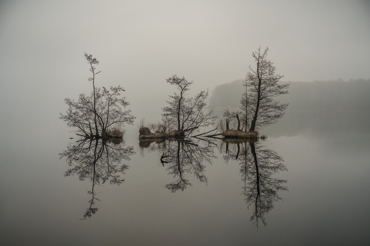 Dunst und Nebel über den See